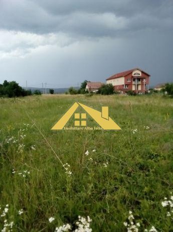 teren-intravilan-de-vanzare-alba-micesti-1